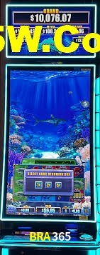 Live Casino BRA365